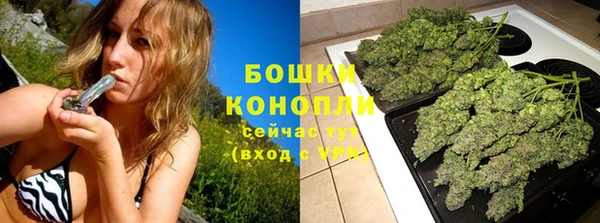 mdpv Горнозаводск