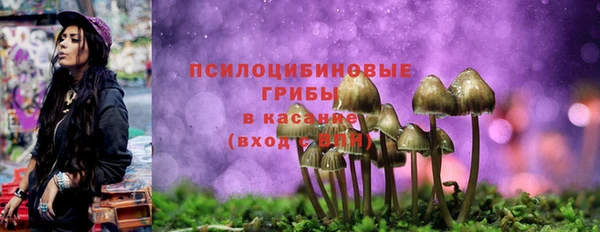 эйфоретик Белоозёрский