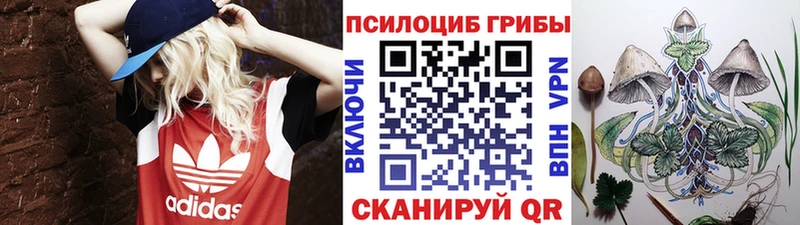 Псилоцибиновые грибы Magic Shrooms  Будённовск 
